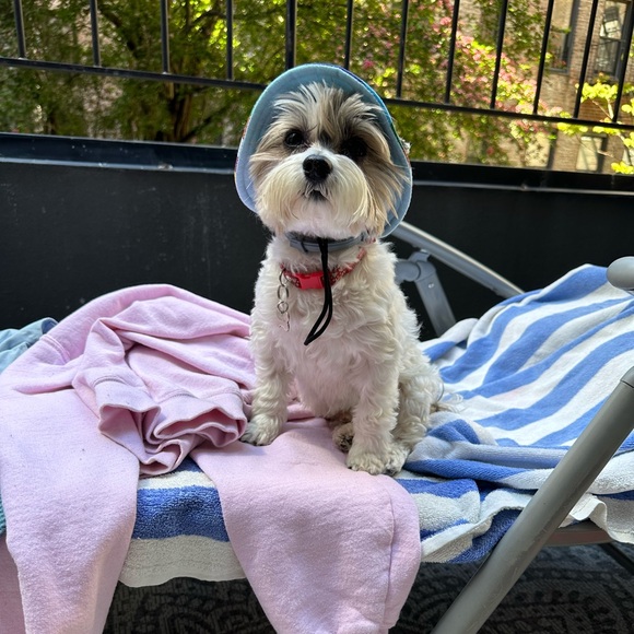 BUNDLE YOUR LIKES - GET A GREAT DISCOUNT OFFER π₯° - Picture 1 of 4